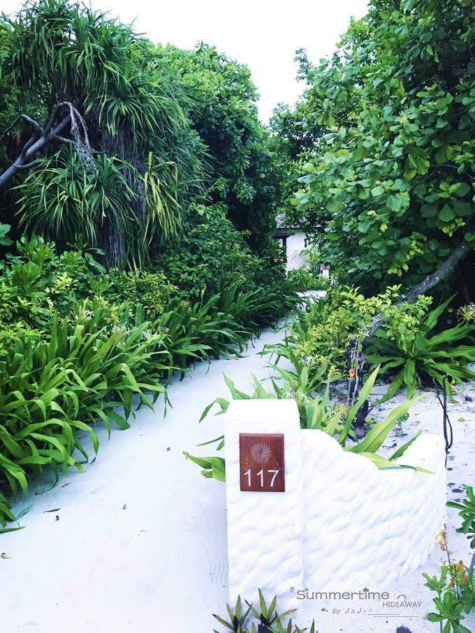 神仙珊瑚岛Island Hideaway